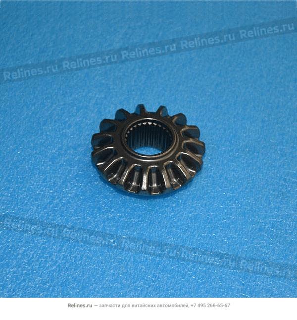 Pinion gear