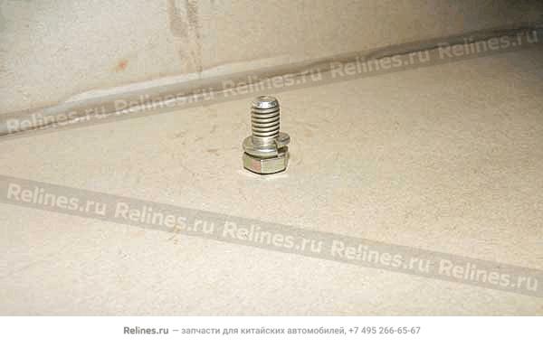 Fixing bolt