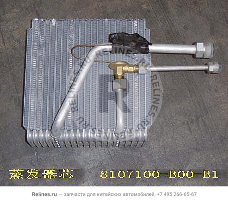 Evaporator core kit - 81071***00-B1