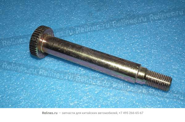 Bolt