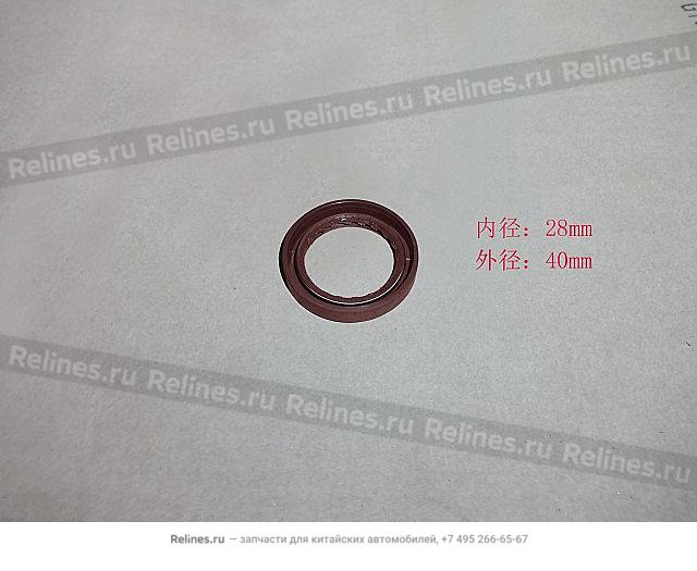 Oil seal-input shaft - 17010***M51A