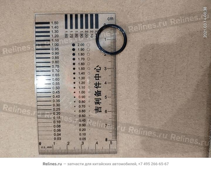 O ring-transmission over flow plug - 308***900