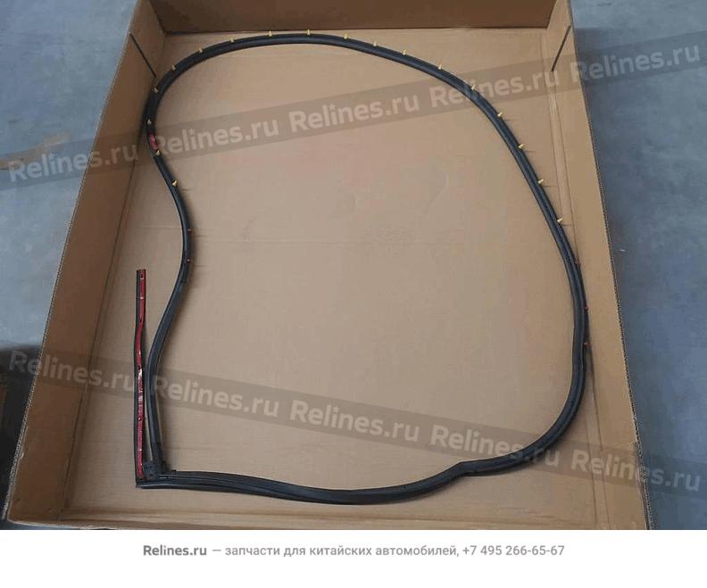 Assy,weatherstrip,RR door - 508***200