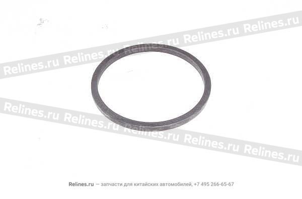 Master cylinder seal - A11-***055