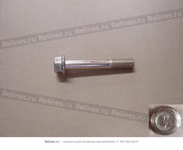 Flange bolt(M10ЎБ65)