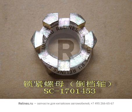 Lock nut(reverse shaft) - SC-***453