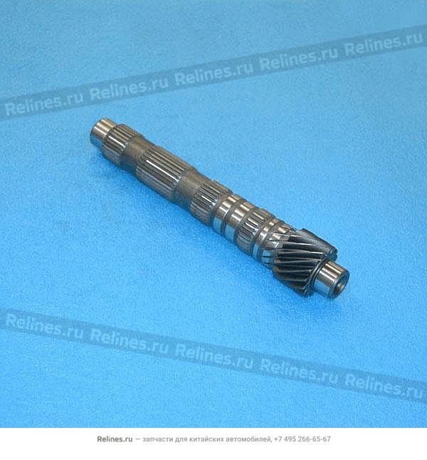 Output shaft