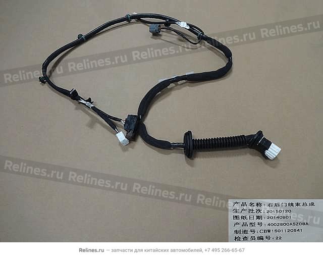 Harness assy-rr door RH - 40028***Z08A