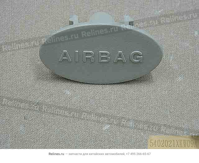 Label cover airgag - 540202***09AE3