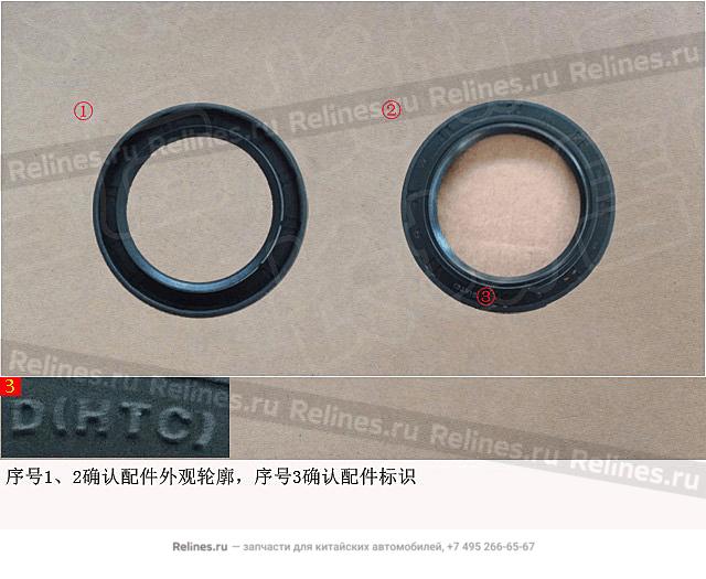 Oil seal-oil pump - 4613***800