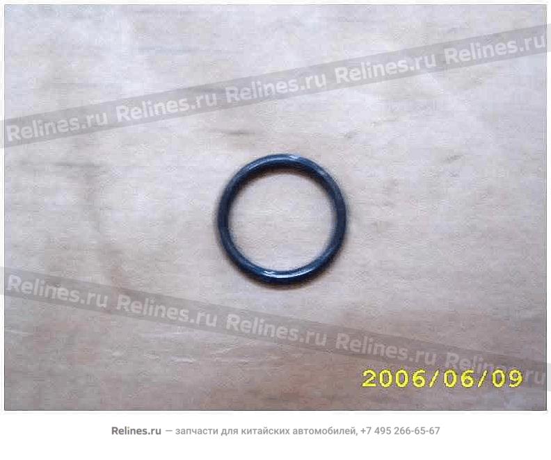 O ring-fuel injector