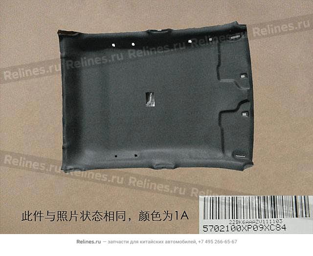 Roof panel assy