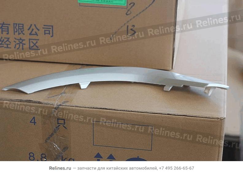 RH trim strip, RR bumper