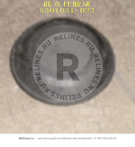 Rub plug-fr pillar - 5301***D22