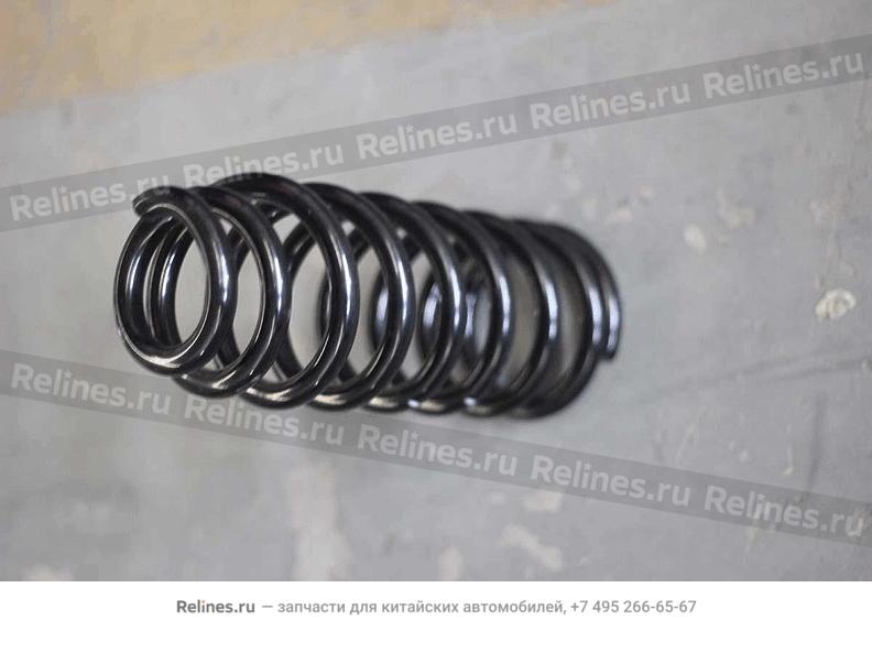 Front coil spring