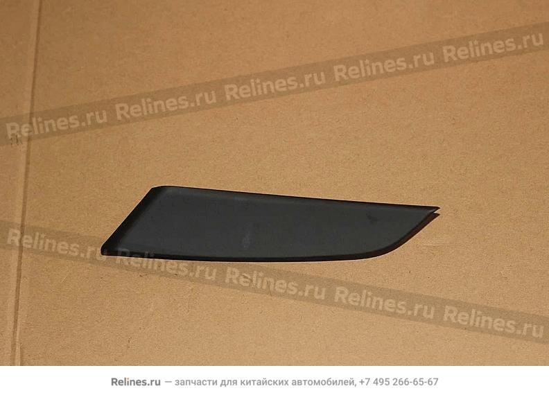 Switch end cover - 70450***0742