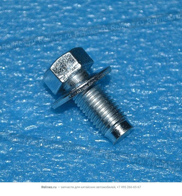 Screw - T21-6***30BA