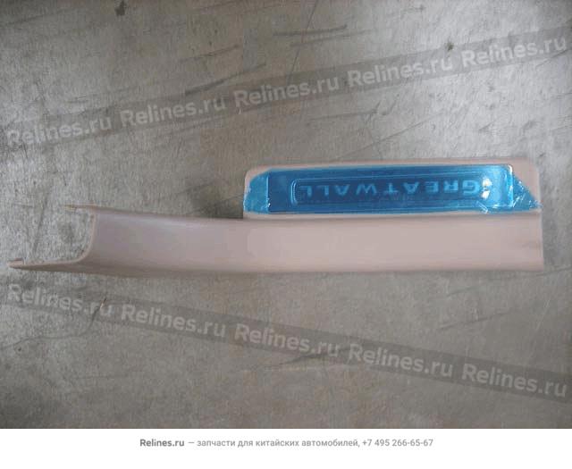 Doorsill assy RR RH(light gray)