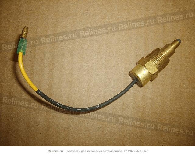 Coldstart sensor - 1306***E03