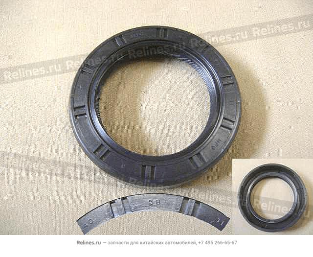 Oil seal assy RR body - 5DYM1***1044