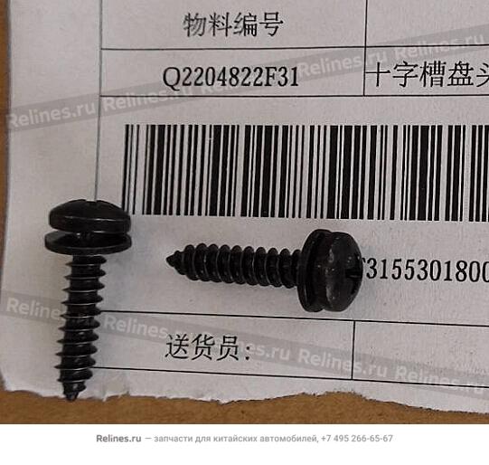 Cross slotted head screw & plain washer assy. - Q220***F31