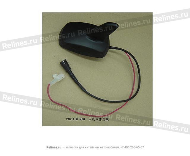 Antenna assy - 7903***M00