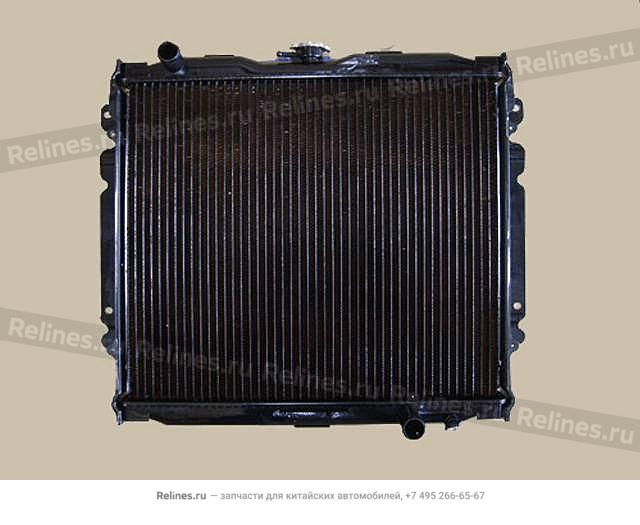 Radiator assy(economic)