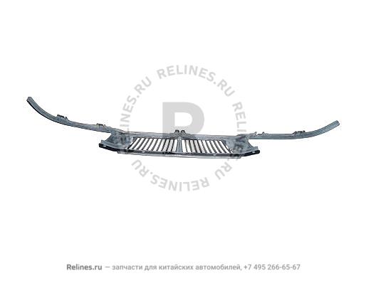 Radiator grid assy