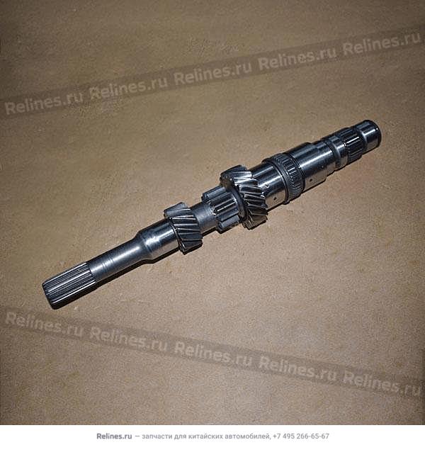 Input shaft