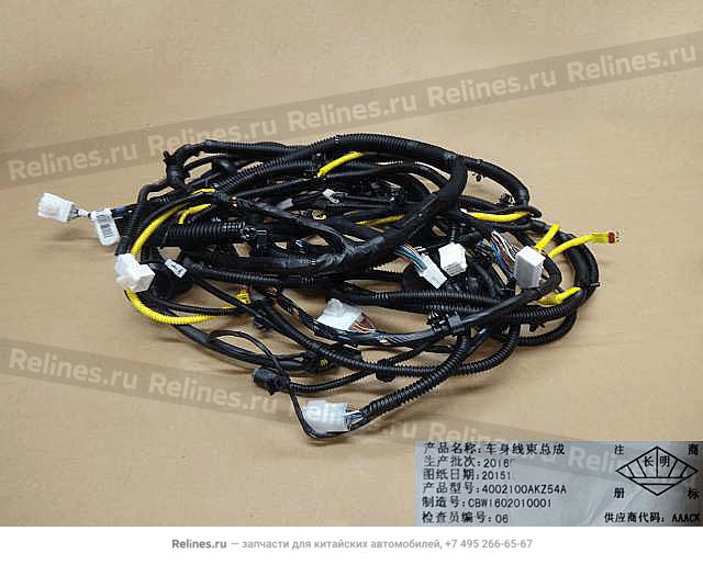 Harness assy body - 40021***Z54A