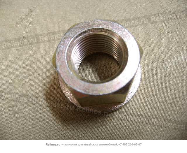 Nut(LWR swing arm RR shaft) - 290430***0-A1-J