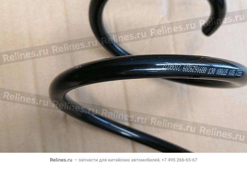 Coil spring, frt - 401***700