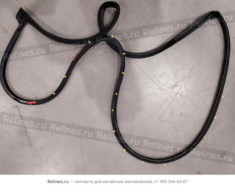 Assy,RF door weatherstrip - 507***700