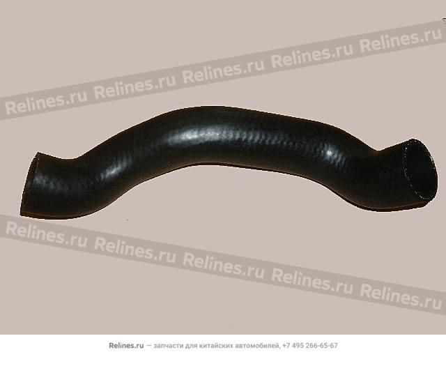 Radiator UPR hose