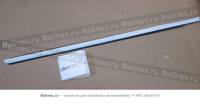 Outer sealing,RF door glass - 1018***7059