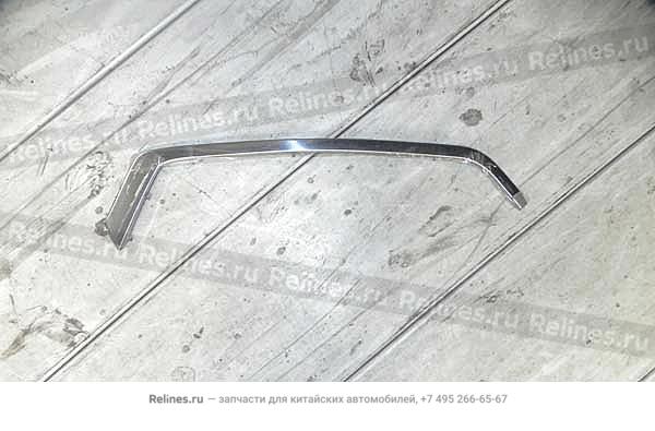 RR trim strip-sd panel RH - P11-***316