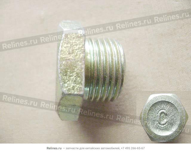 Filling plug(FR axle) - 2300***F01