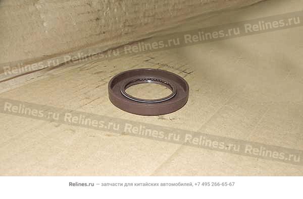 Oil seal assy RR body