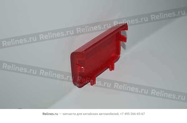 UPR lamp guard-fr door LH