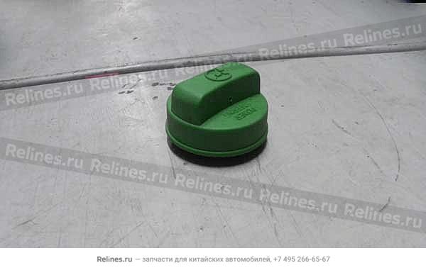 Cap assy -steering oil tank - B11-***021