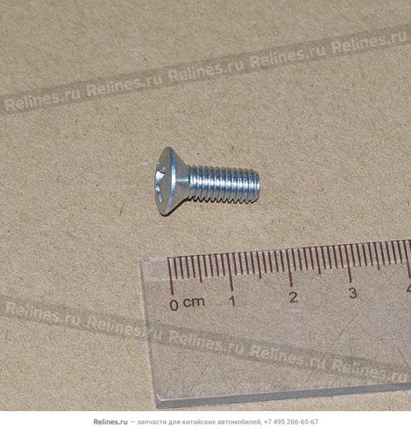 Countersunk raised head screw - Q256***F36