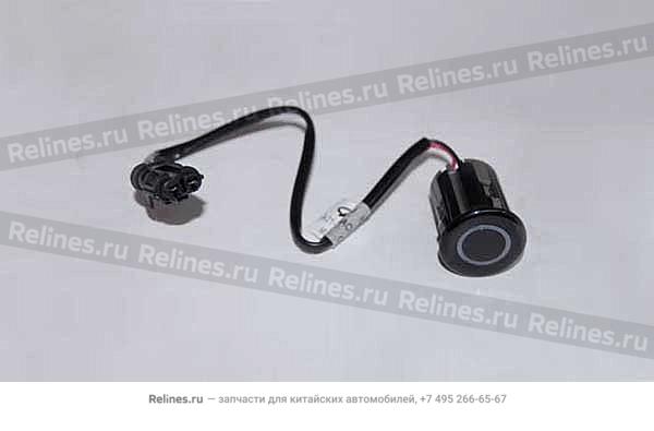 Probe RR (black)