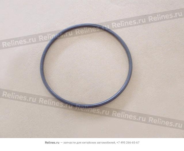 Seal ring-fuel pump - 1101***M16