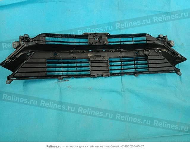 Решетка переднего бампера в сборе