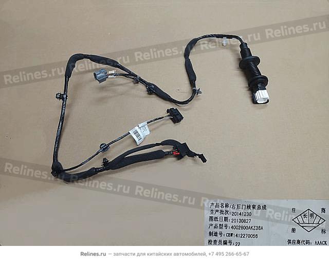 Harness assy-rr door RH - 40028***Z36A