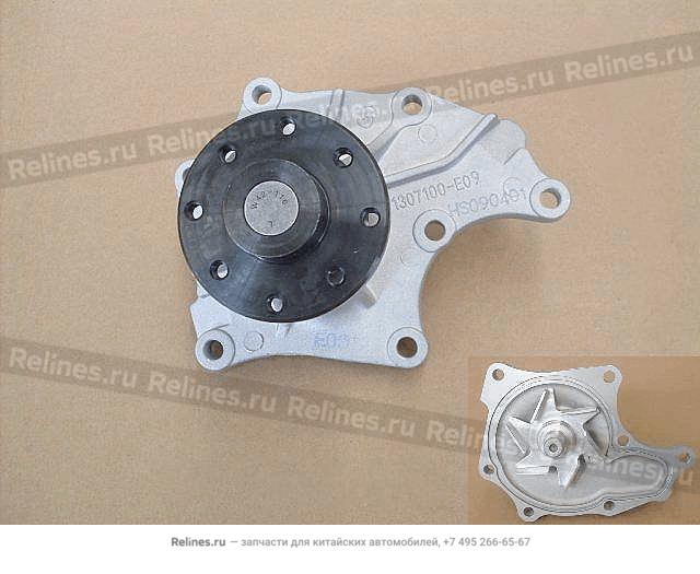 Water pump assy - 1307***E09