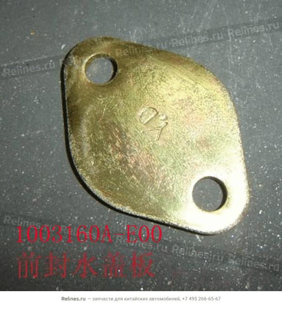 Water seal plate-cylinder head FR - 1003***-E00