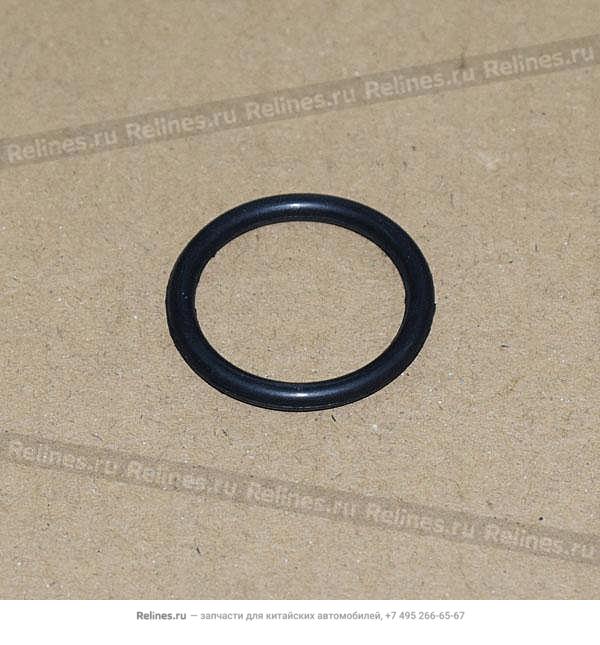 Washing filler neck seal - 6070***2AA