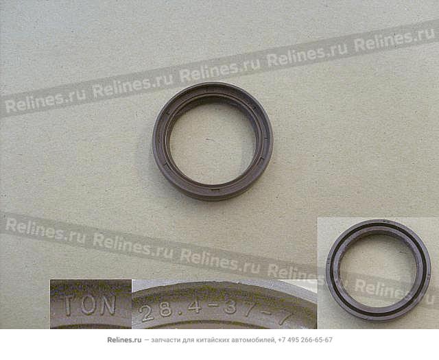 Differential INR oil seal - 23031***01T1A