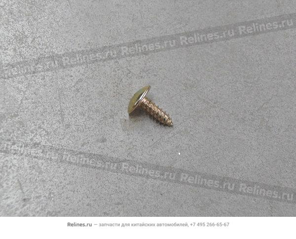 Philips self-tapping screw